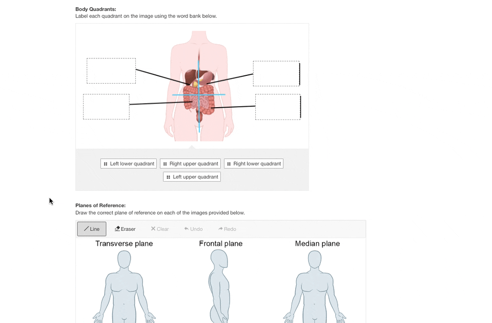 InteractiveActivity_Health2