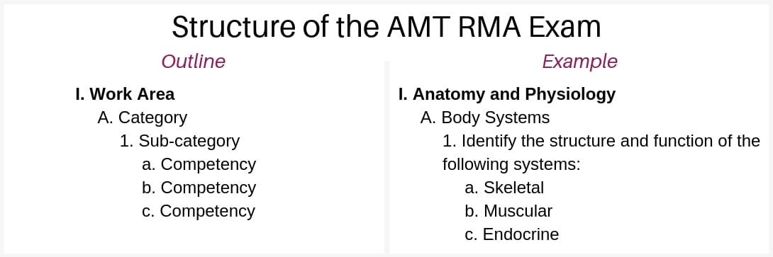 amt-rma-exam-structure