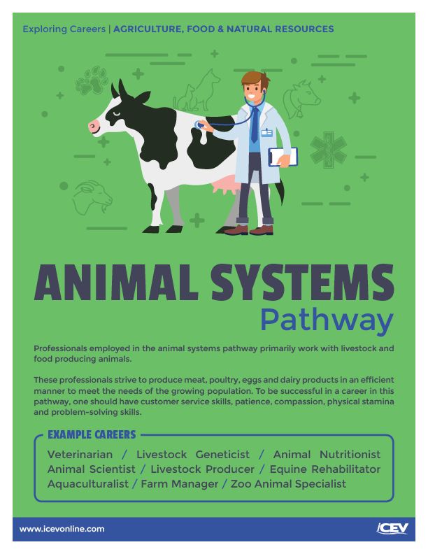 AnimalSystems