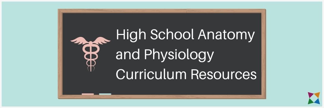 3 Best High School Anatomy and Physiology Curriculum Resources