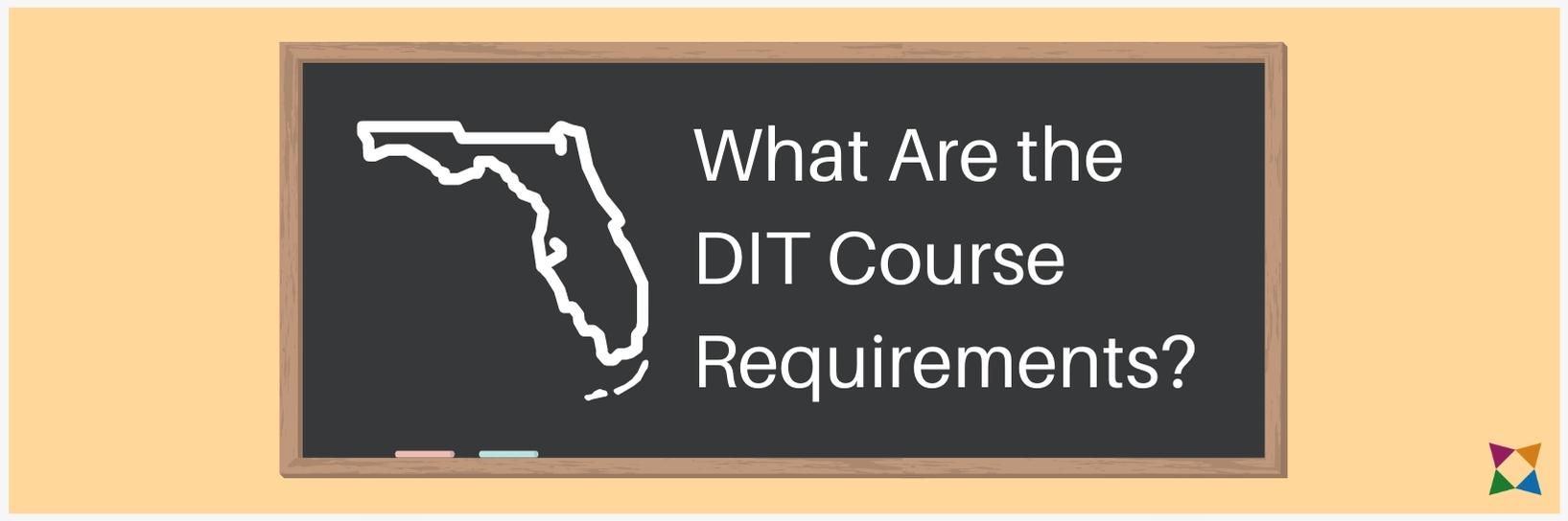 Florida-Digital-Information-Technology-Requirements