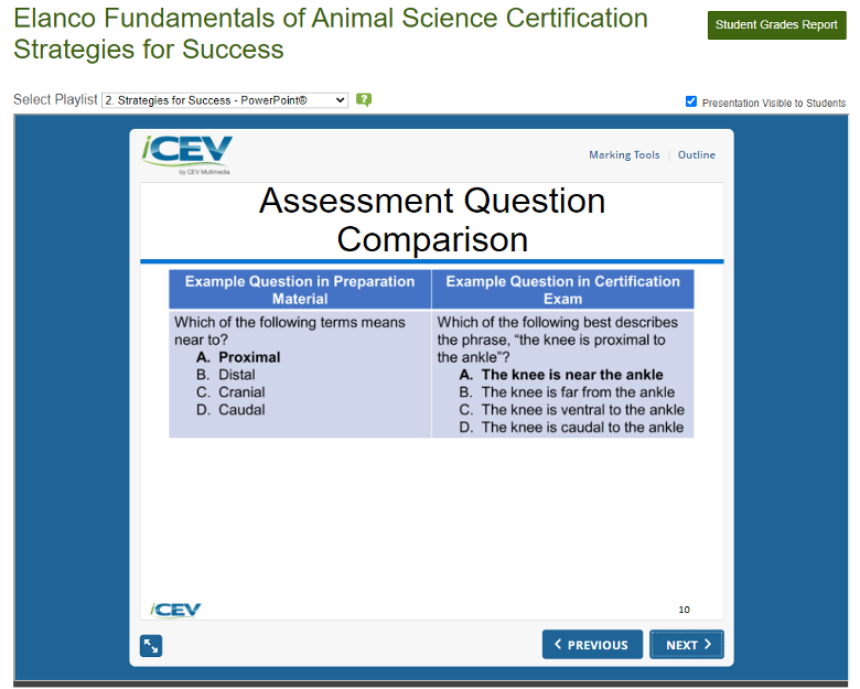 cert_strategies_example_questions